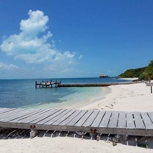 Meet your Posher, Ashlee